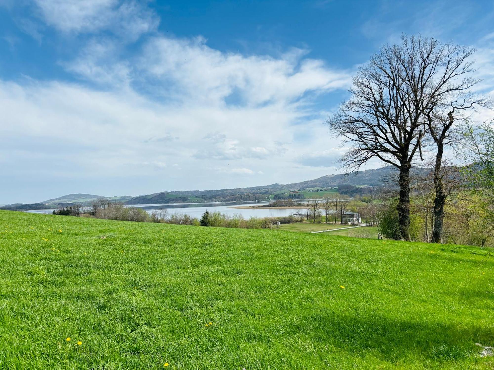 Gaesthaus "Seeblick" Seekirchen am Wallersee Bagian luar foto